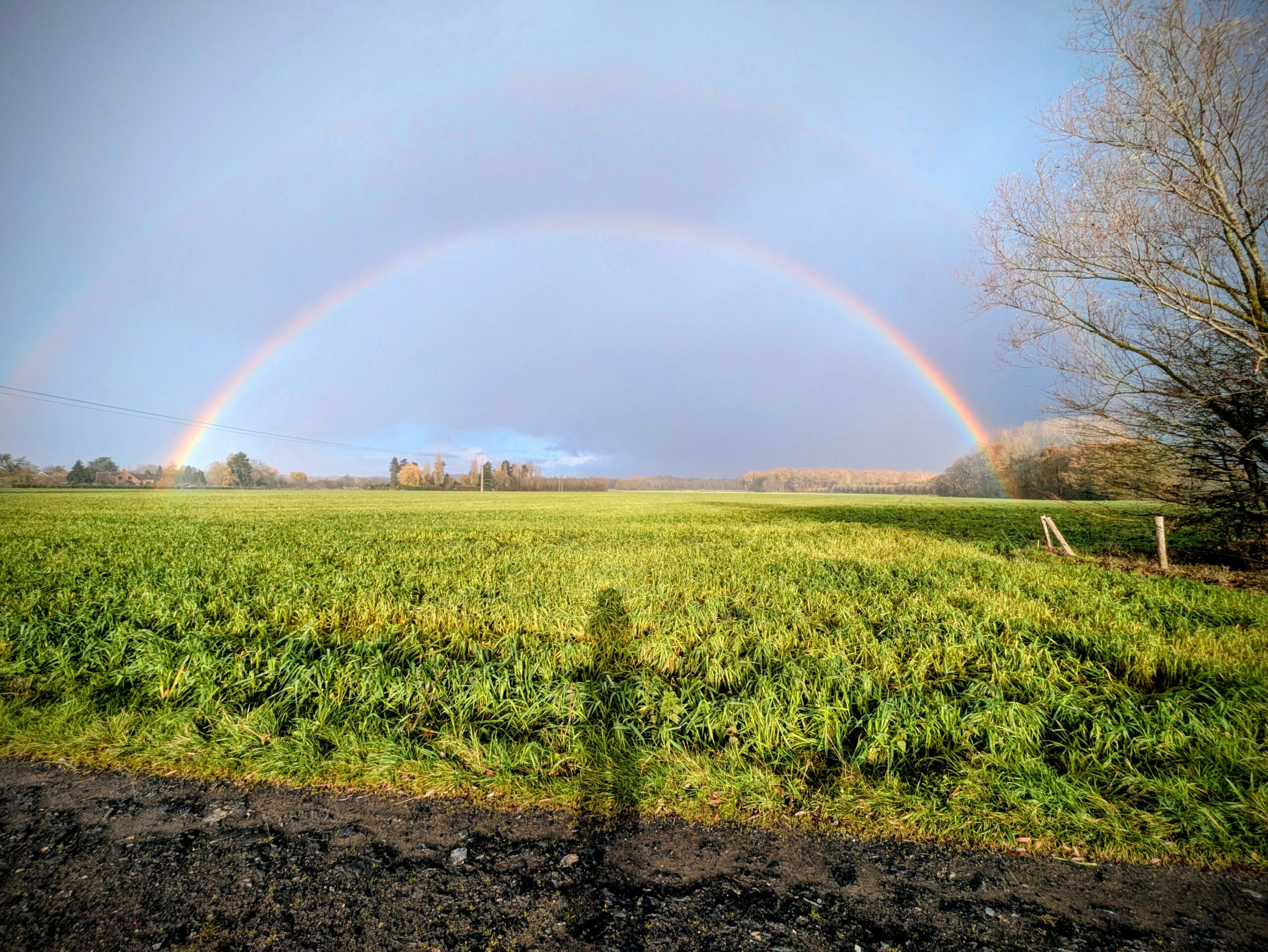Marcher pour &eacute;crire : quand la nature lib&egrave;re les mots